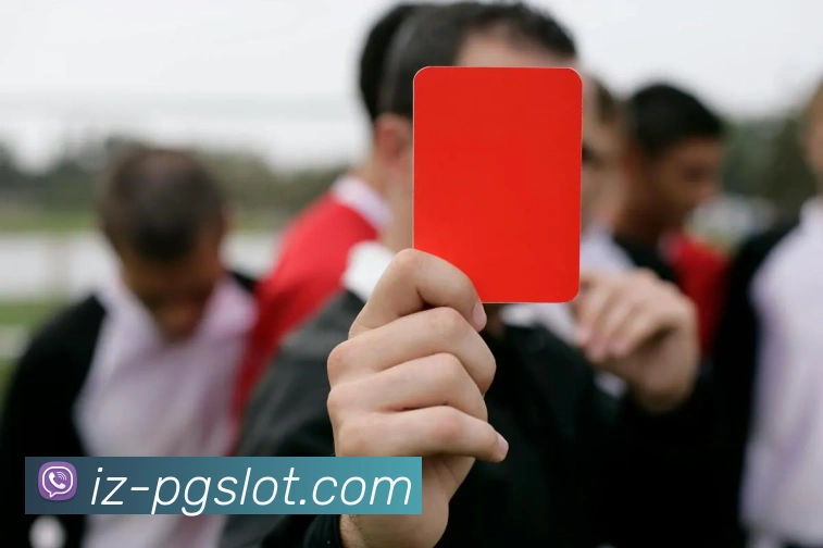 赏金女王PG电子官网APP 封面图